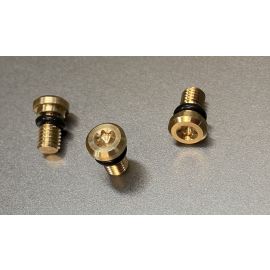 Kayaba Showa Gabel Entlüftungsschraube mit O-Ring Torx TX20 Gold - 1 Stück