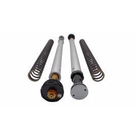 Andreani Misano EVO Cartridge Kit für Honda CRF300L ab 2021 Showa 43mm