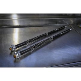 Andreani Misano EVO Cartridge Kit für Honda Africa Twin CRF1000L CRF1100L