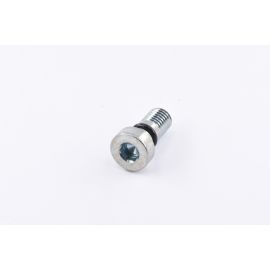WP Suspension Schraube mit Dichtring M10x23 SX85 S218700000S0000
