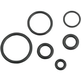 O-Ring Set für Harley Davidson Delphi EFI Kraftstoffleitung Einspritzer