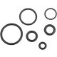 O-Ring Set für Harley Davidson Delphi EFI...