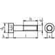 Zylinderschraube Innensechskant M3x5 blank Stahl 8.8 ISO4762 10 Stück